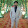 suyog gupta