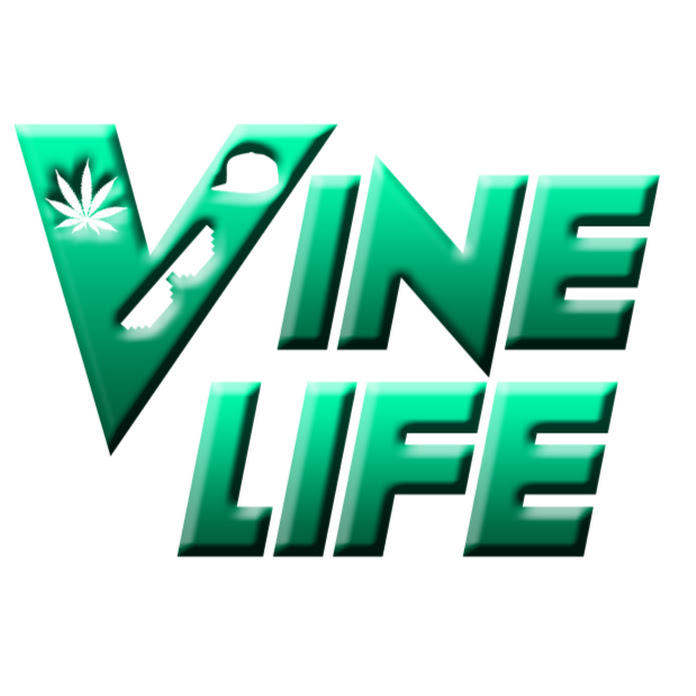 Vine Life Net Worth & Earnings (2022)