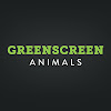 GreenScreenAnimals