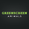 GreenScreenAnimals