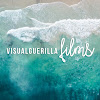 visualguerillaFILMs
