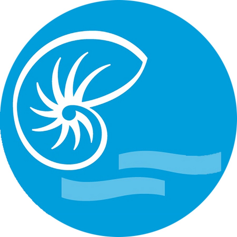 Banque de Nouvelle Calédonie BNC YouTube