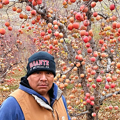 VAGANTE DE MICHOACÀN net worth