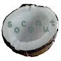소코넛 soconut