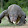 Komodo Beast Aaron