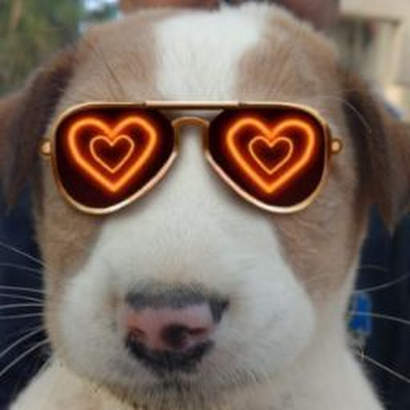 @Sasmithasezhiyan vlogs