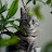 @channel-t9q6w