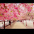@중경삼림-v6c