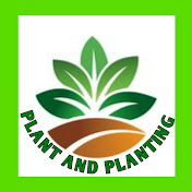 Plant and Planting