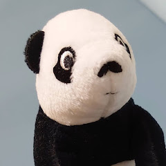 PANDA / 月200時間勉強社会人