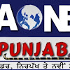 What could AONE PUNJABI TV buy with $621.06 thousand?