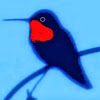 HummingBirdChannel