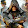 Mr. Assassin