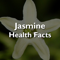 Jasmine Health Facts