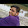 Juber Shaikh