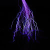 high1voltage1rules