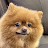 @naneopseoyo's avatar