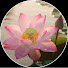 p8u-Ciz_fBc-channel-avatar-Câu Chuyện Tuổi Già - Audio