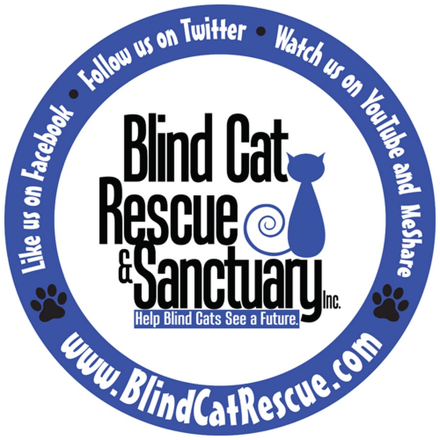 Blind Cat Rescue & Sanctuary, Inc YouTube