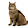 meme cat