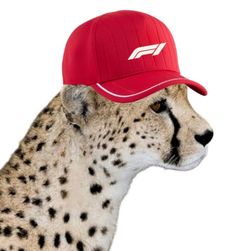 F1 Robust Habits Logo