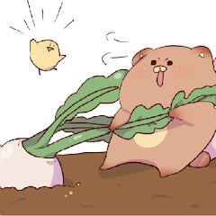 パッカスチーム