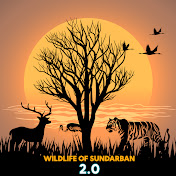 WILD LIFE OF SUNDARBAN 2.0