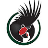 World Parrot Trust