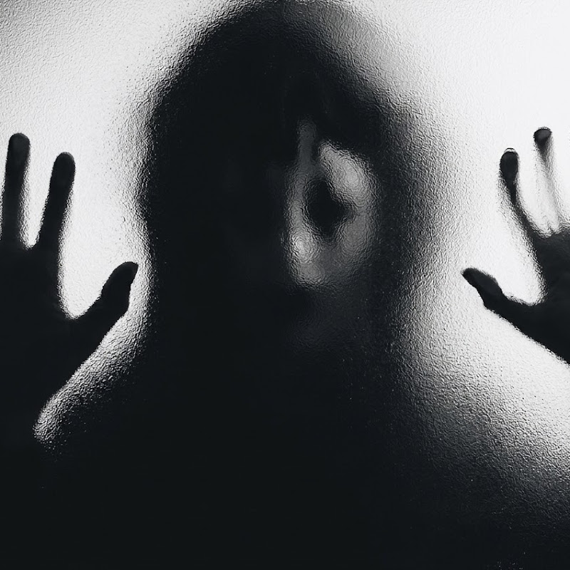 Horror Fans