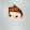 Noah Starfriend