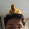 Mark Leung
