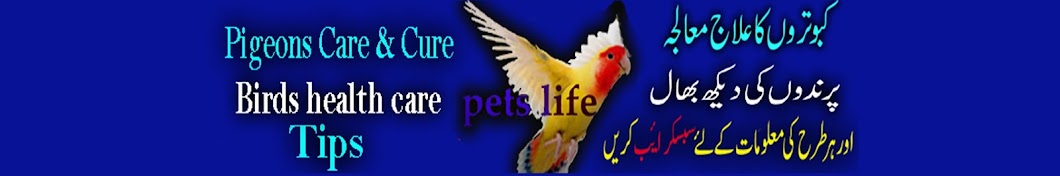 Pets life ইউটিউব চ্যানেল অ্যাভাটার