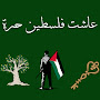Aya M Bayomi