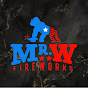 Mr. W Fireworks, Inc. logo
