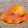 A Dumbo Octopus