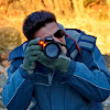 dimboud