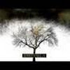 TheValhallaLive