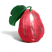 Mountain Apple Company Inc