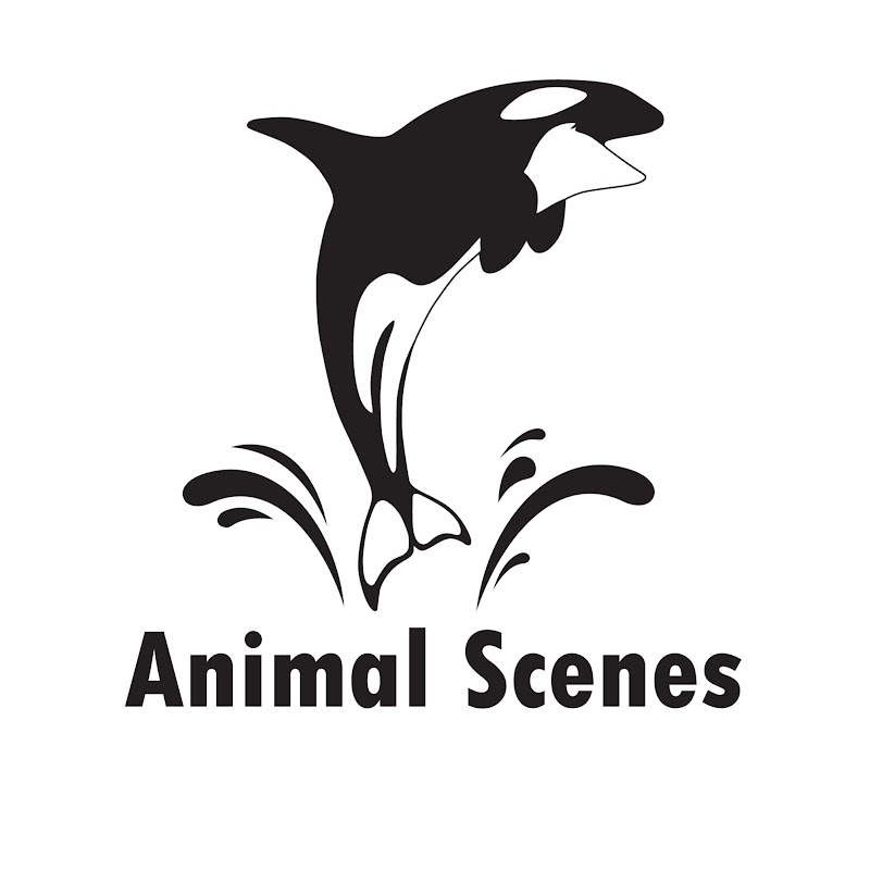 Animal Scenes