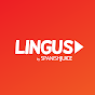 LingusTV, sitcom videos to learn Spanish
