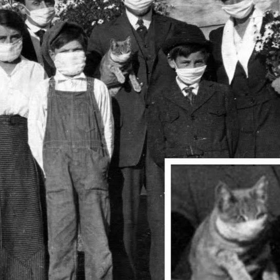 Between the Lions - YouTube