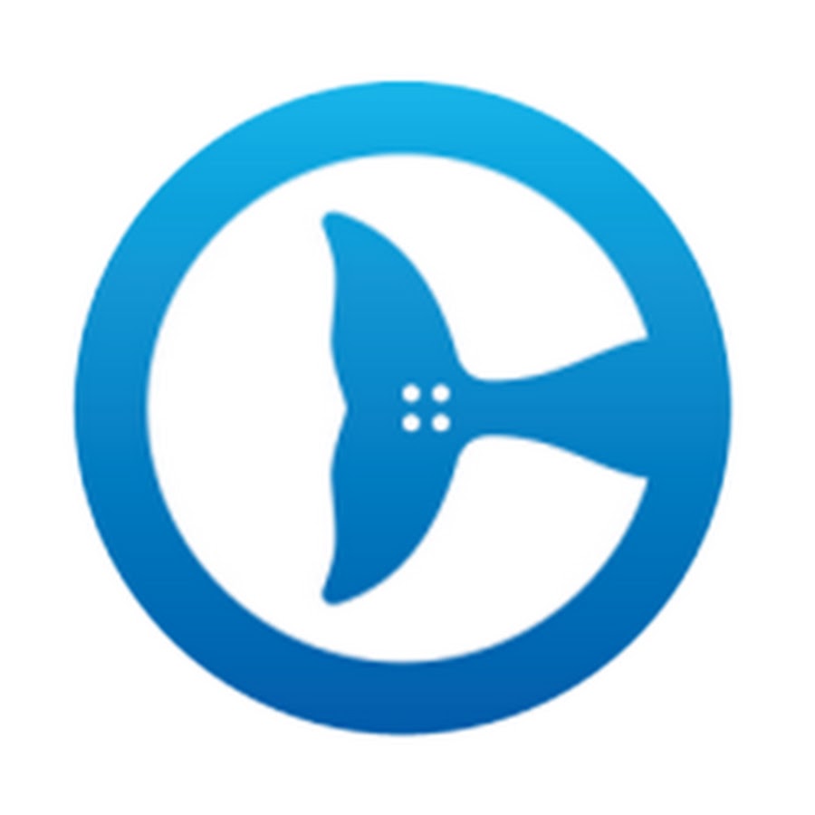 Clearwater Marine Aquarium - YouTube