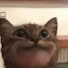 oI3NKSSquxY-channel-avatar-futsol