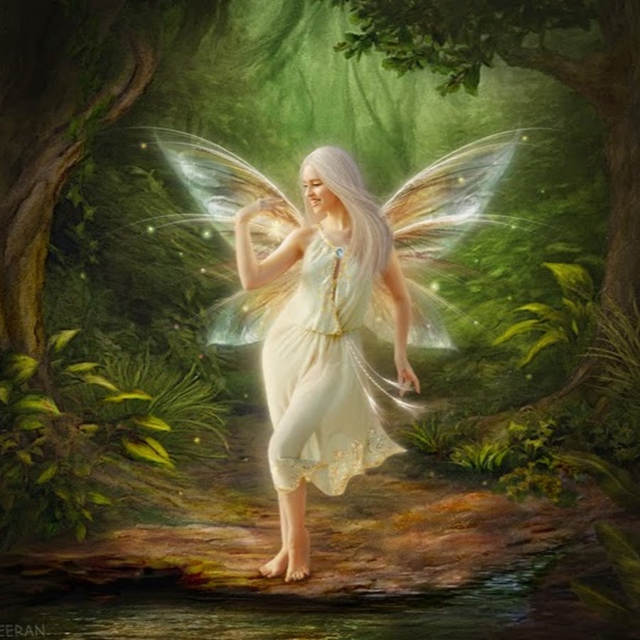 Fairy Pictures 100