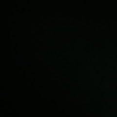 juliana.975