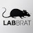 @Labbrat