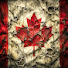 u40xzvHwo58-channel-avatar-Hidden Canada