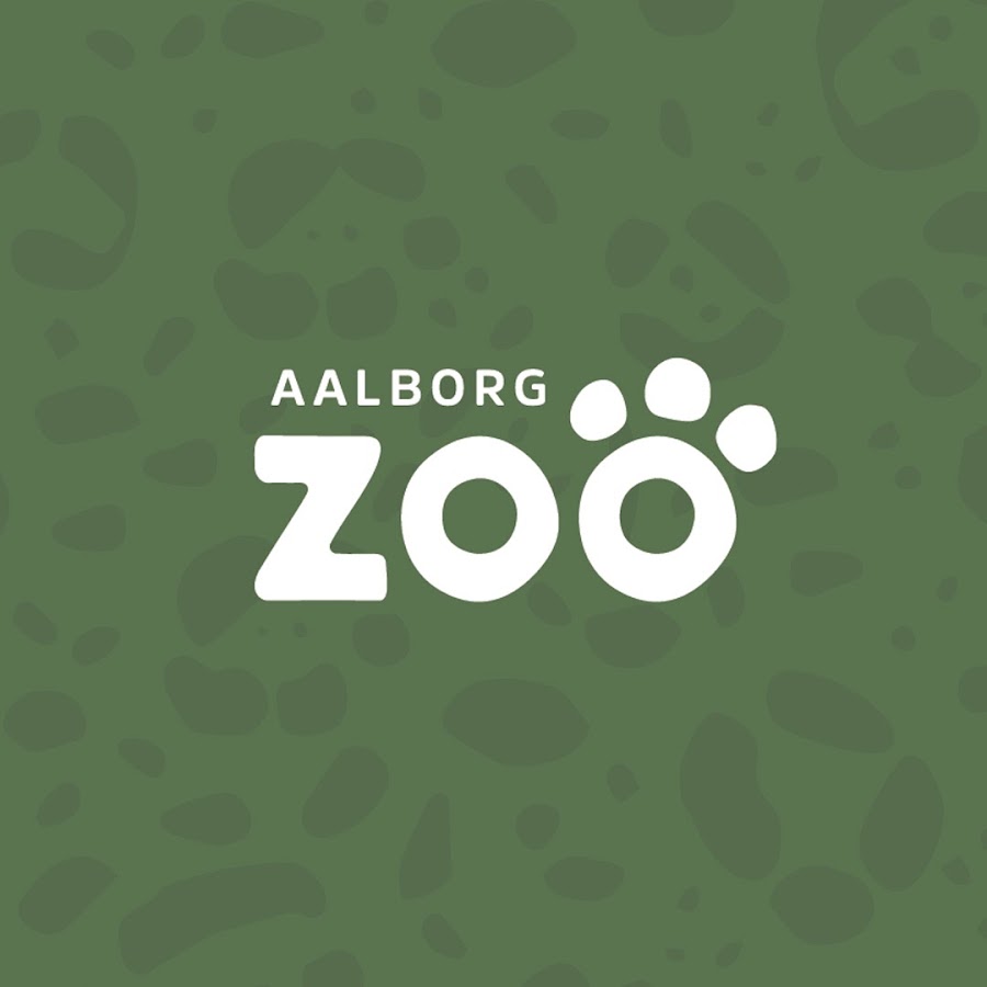Zoo YouTube