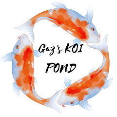 Gaz's Koi Pond   Avatar