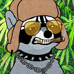 UnusualVisuals y TrashJitMP3
